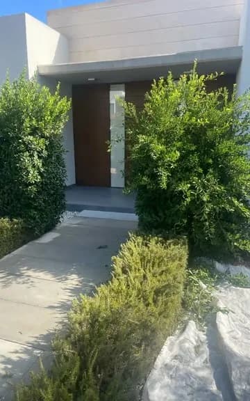 Entrance hedges before trimming, with overgrown and uneven foliage.