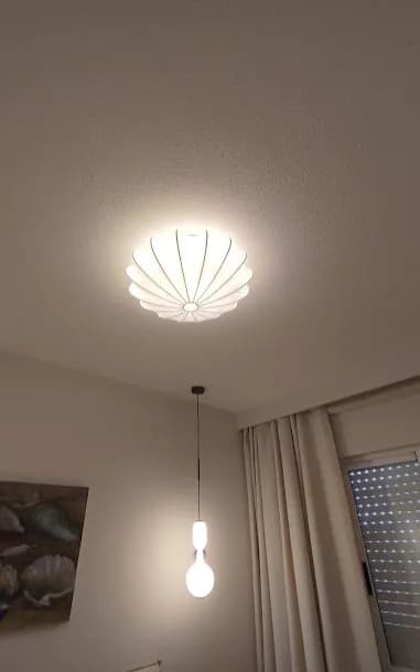Bedroom view with the decorative ceiling light and hanging bedside pendant.