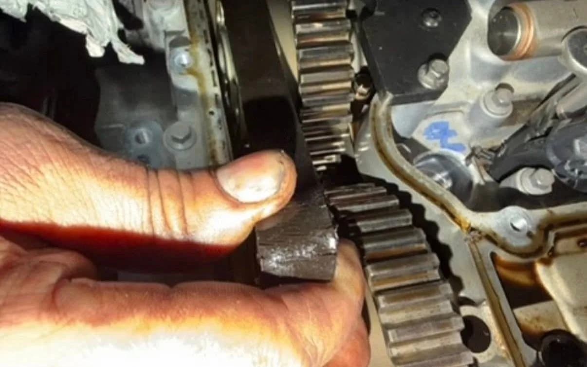 Exposed engine timing mechanism with a damaged toothed belt section held up close. From Harrys Vehicle Management S.L’s Facebook gallery.